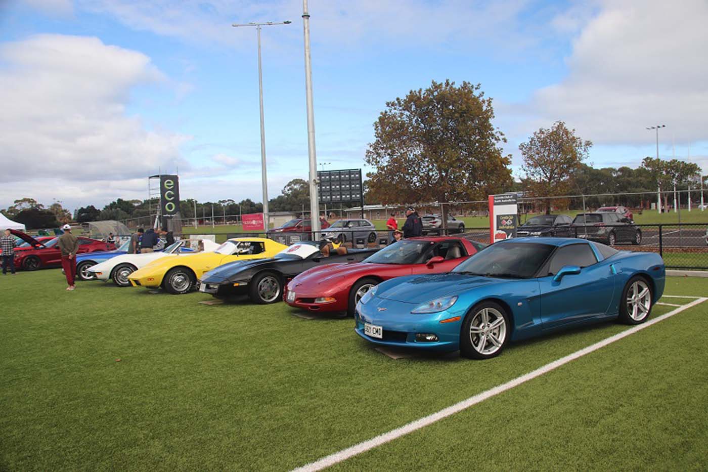 Corvettes and Mustangs 1